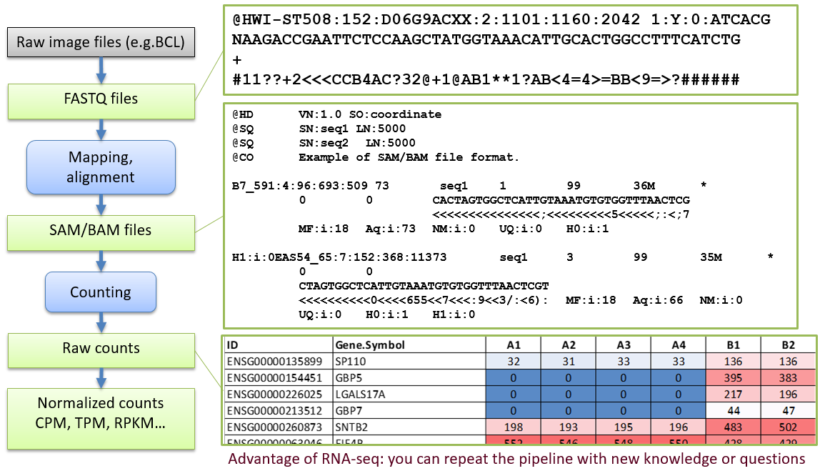 Next Generation Sequencing