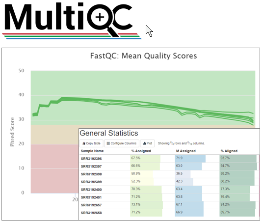 MultiQC